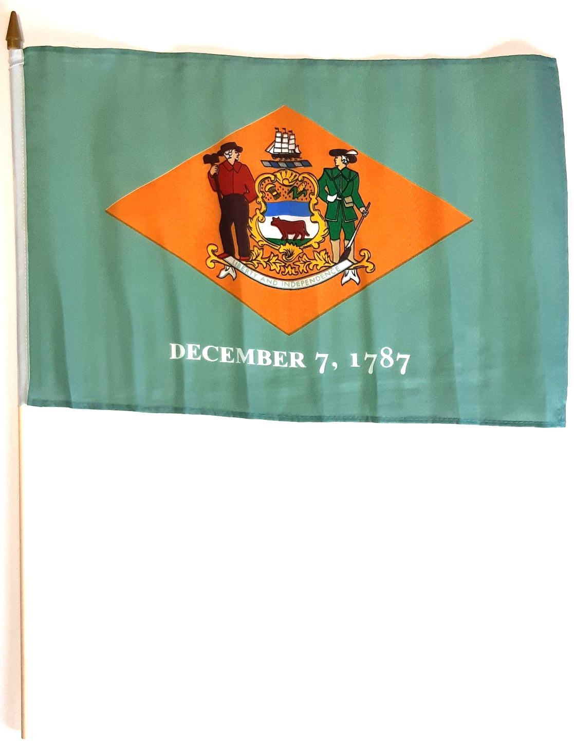 DELAWARE HANDFLAGGA 45X30CM