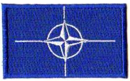 NATO TYGMÄRKE 65x38mm