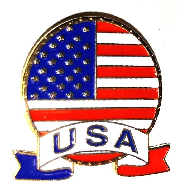 USA FLAGGA PIN