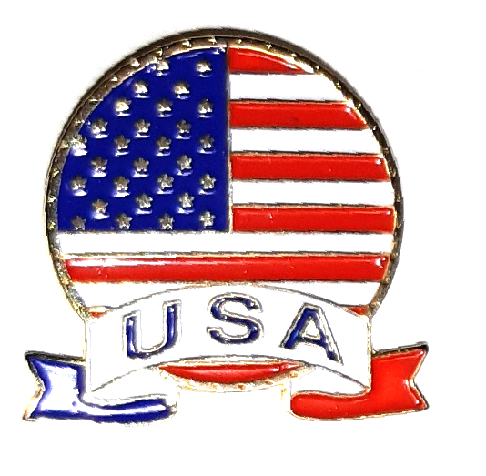 USA FLAGGA PIN