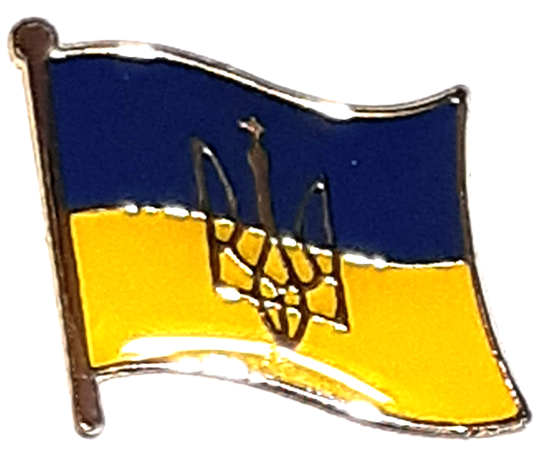 UKRAINA PIN MED VAPNET 15x10mm