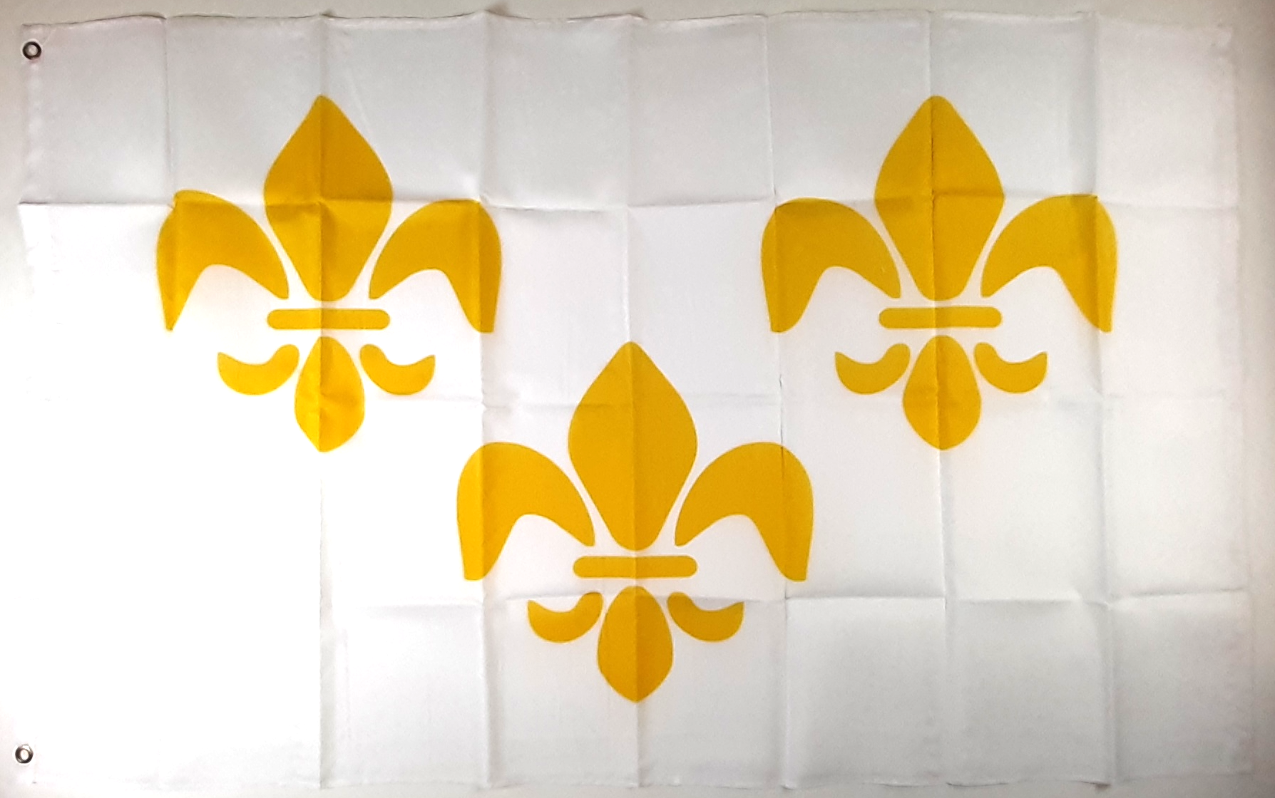 FLEUR DE LIS FLAGGA 150X90CM