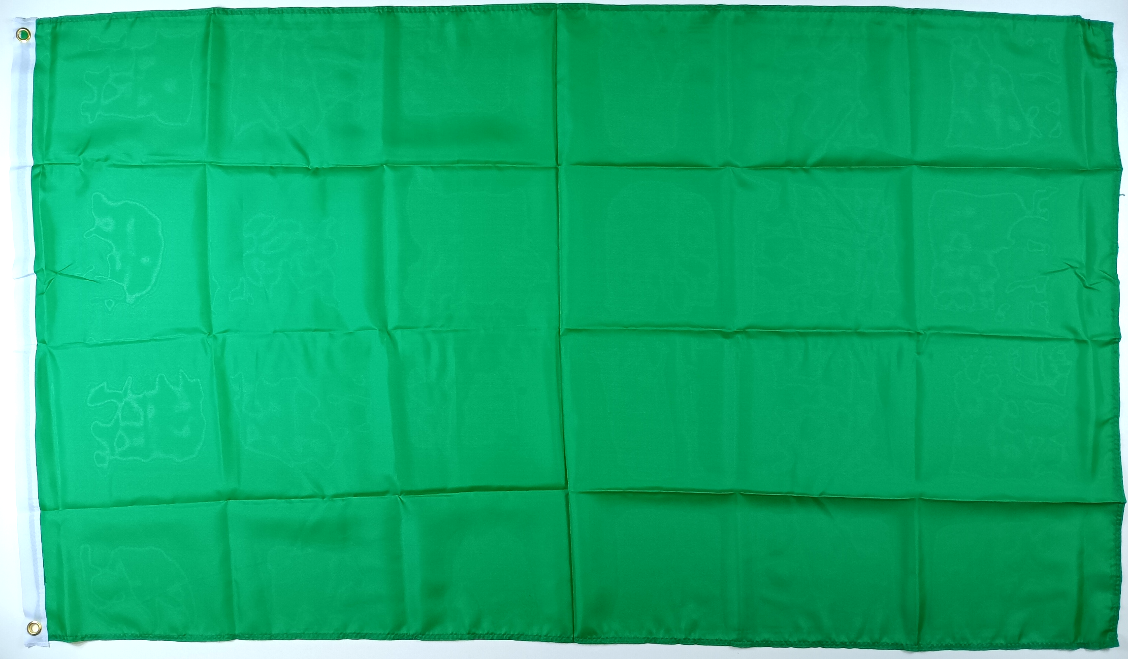GRÖN ENFÄRGAD FLAGGA 150X90CM