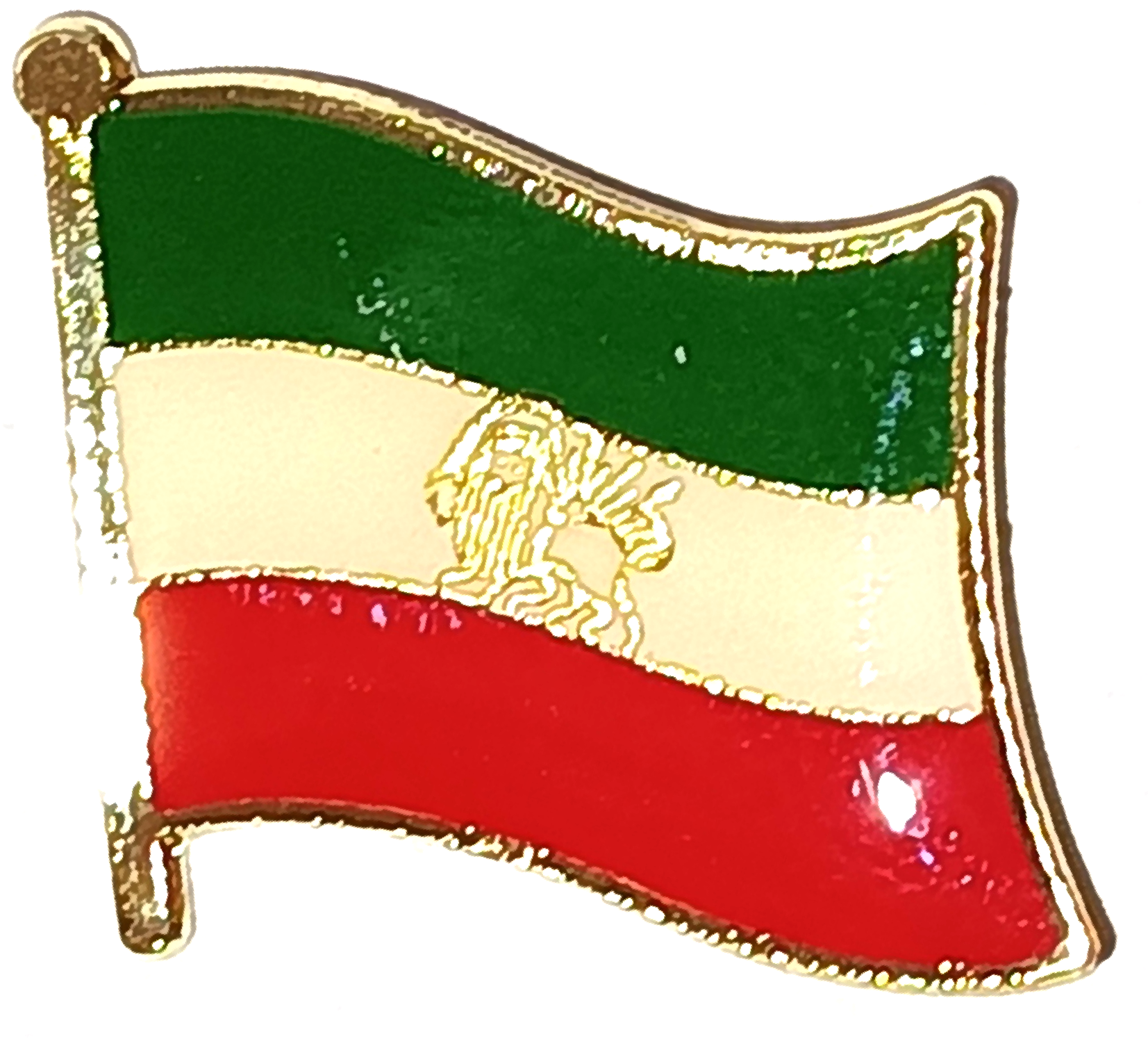 IRAN PIN MED LEJON