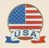 USA FLAGGA PIN