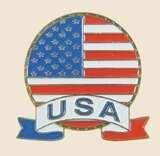 USA FLAGGA PIN