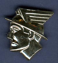 MERCURY PIN