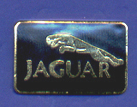 JAGUAR PIN