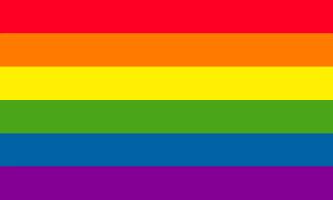 PRIDE GAY FLAGGA 240X150CM *Läs beskrivningen*