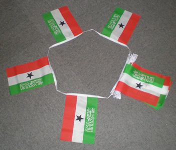 SOMALILAND FLAGGSPEL 6 METER LÅNGT MED 20 FLAGGOR