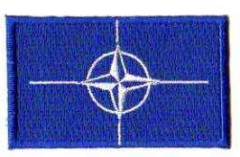 NATO TYGMÄRKE 65x38mm