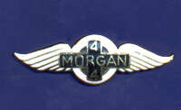 MORGAN PIN 25x8mm