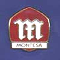 MONTESA PIN 19x18mm