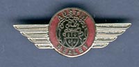 AUSTIN HEALEY PIN