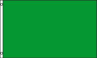 GRÖN ENFÄRGAD FLAGGA 150X90CM