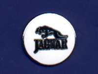 JAGUAR PIN