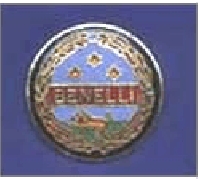 BENELLI PIN