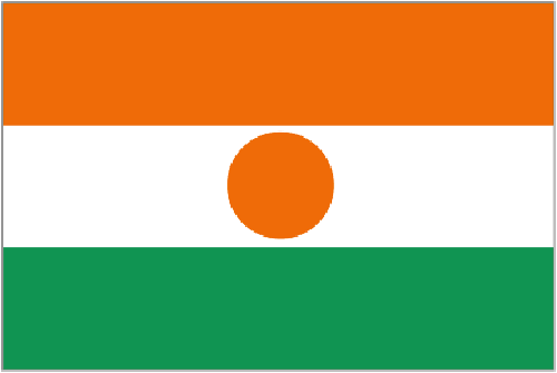 NIGER FLAGGA 90X60CM
