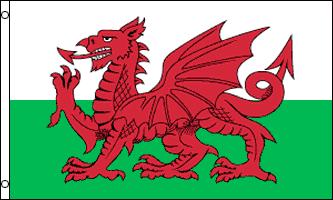 WALES FLAGGA 90X60CM