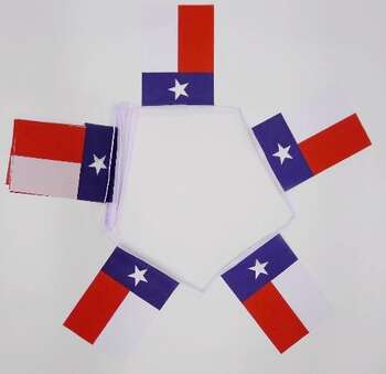 TEXAS FLAGGSPEL 6 METER OCH 20 FLAGGOR