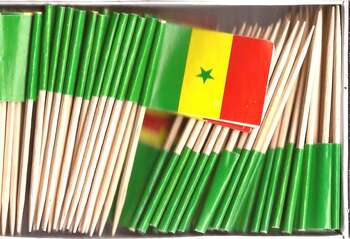 SENEGAL COCKTAILFLAGGOR 100st