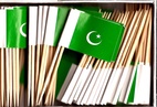 PAKISTAN COCKTAILFLAGGOR 100st
