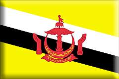 Brunei-flaggor