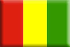 Guinea-flaggor