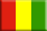 Guinea-flaggor