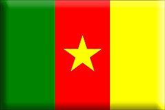 Kamerun-flaggor