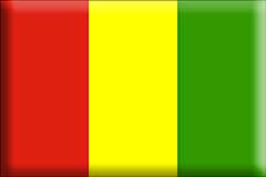 Guinea-tygmärken
