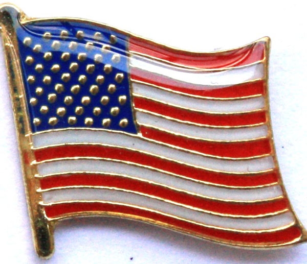 USA FLAGGA PIN