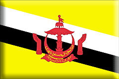 Brunei-pins