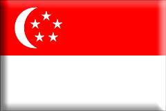 Singapore-pins