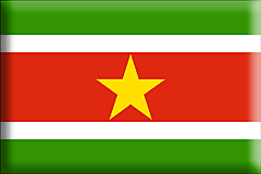 Surinam-pins