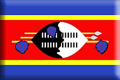Swaziland-pins