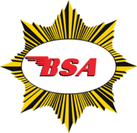 BSA-pins