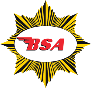 BSA-pins