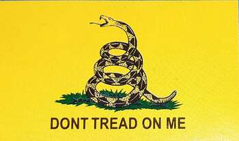 DON'T TREAD ON ME FLAGGA 150X90CM INKL EN PIN